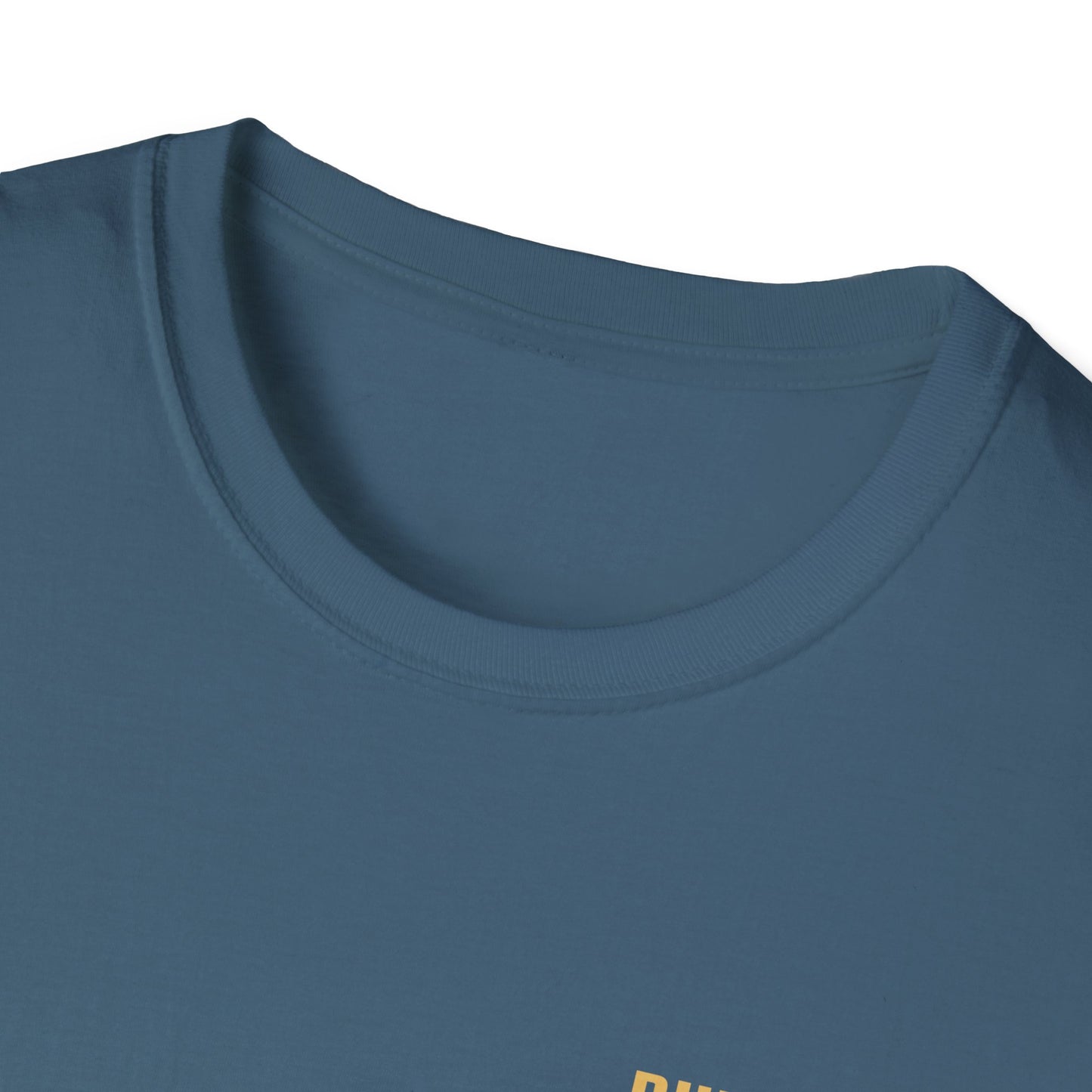 Unisex Softstyle T-Shirt - Built Biblically / Jesus is King