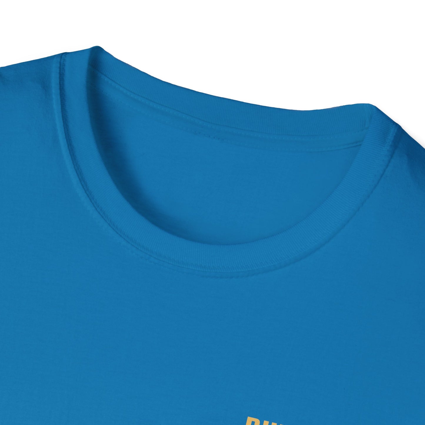 Unisex Softstyle T-Shirt - Built Biblically / Jesus is King