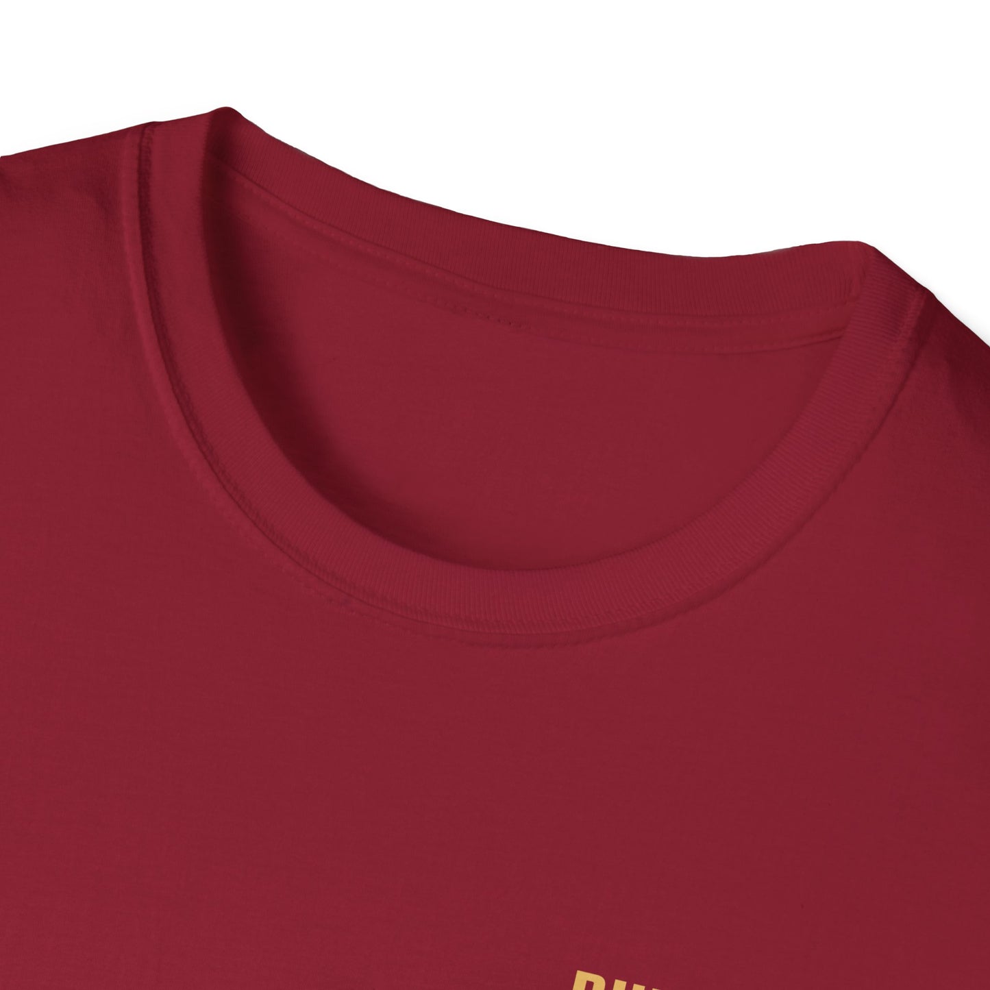 Unisex Softstyle T-Shirt - Built Biblically / Jesus is King