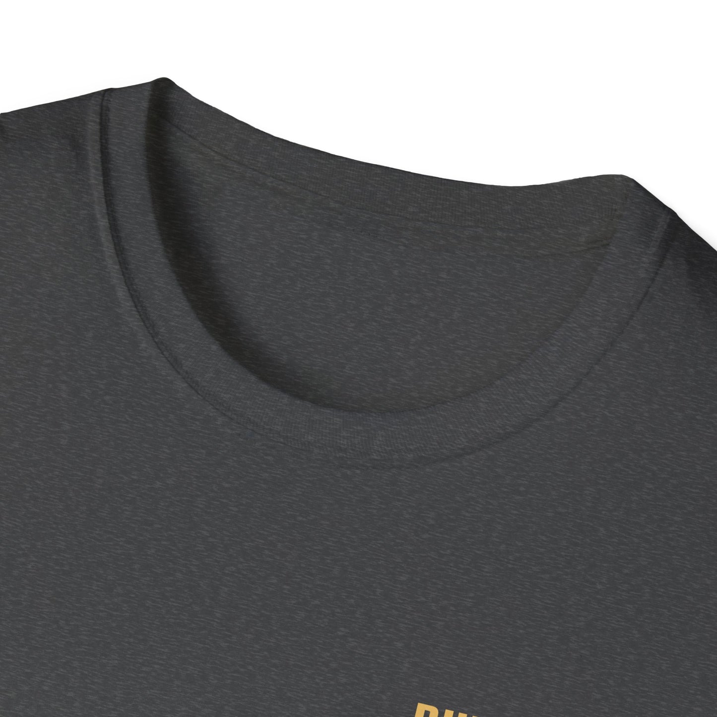 Unisex Softstyle T-Shirt - Built Biblically / Jesus is King