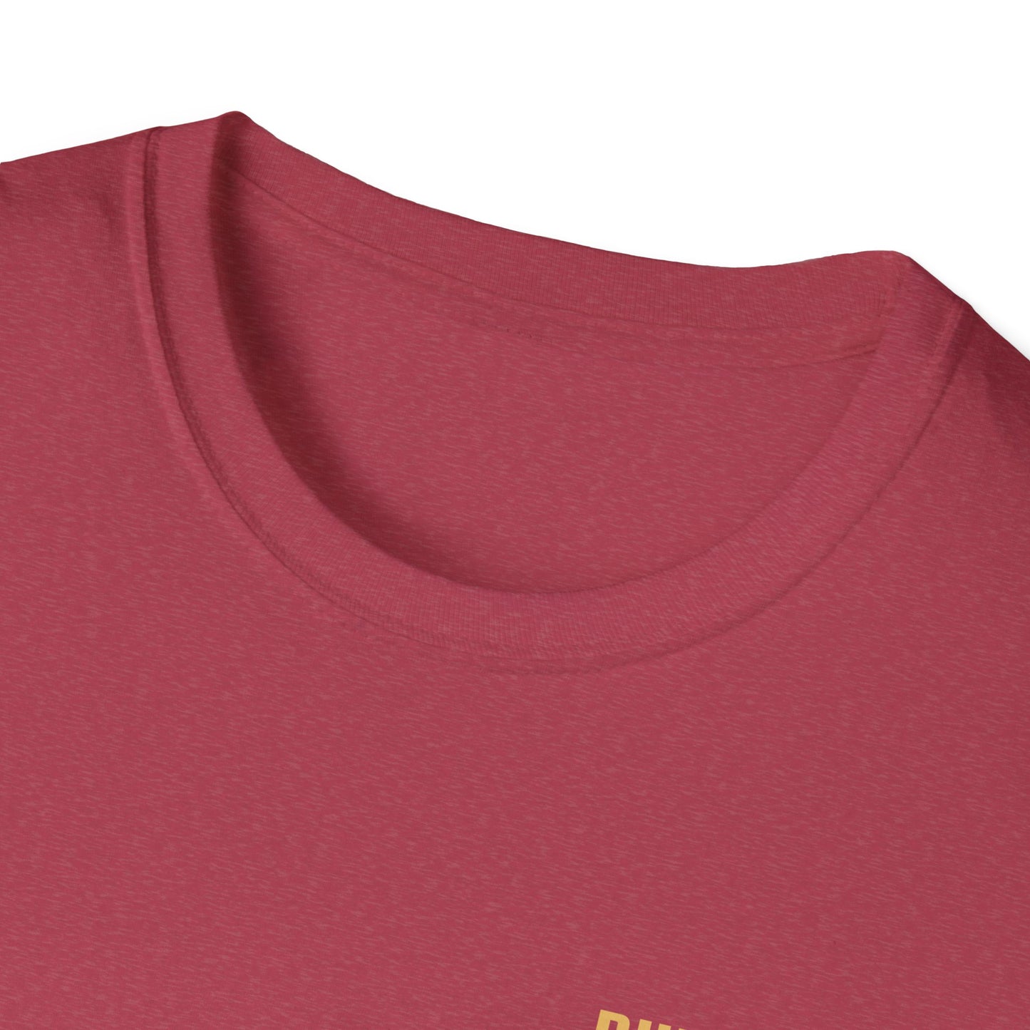 Unisex Softstyle T-Shirt - Built Biblically / Jesus is King