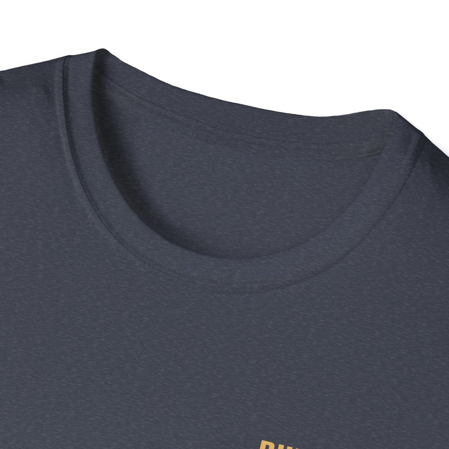 Unisex Softstyle T-Shirt - Built Biblically / Jesus is King