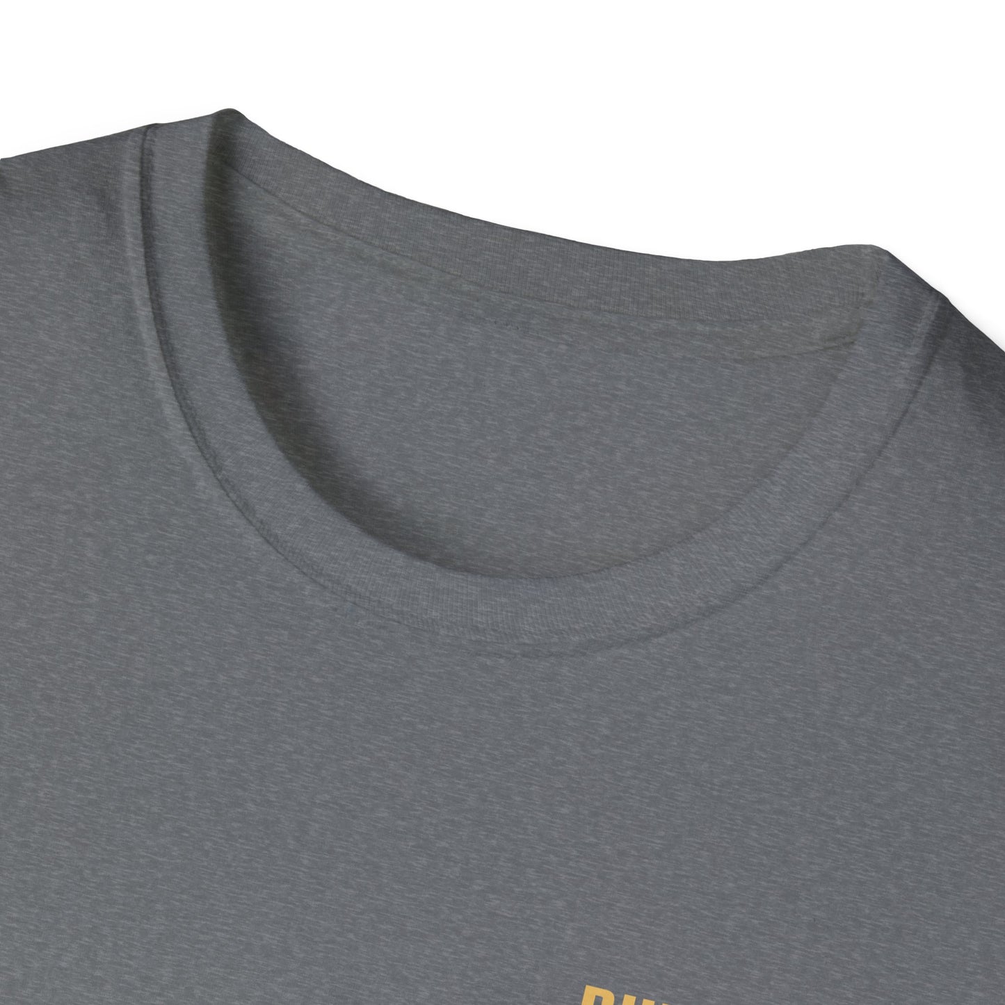 Unisex Softstyle T-Shirt - Built Biblically / Jesus is King